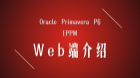 P6 EPPM Web端介绍
