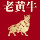 老王老网